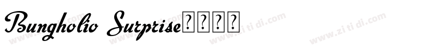 Bungholio Surprise字体转换